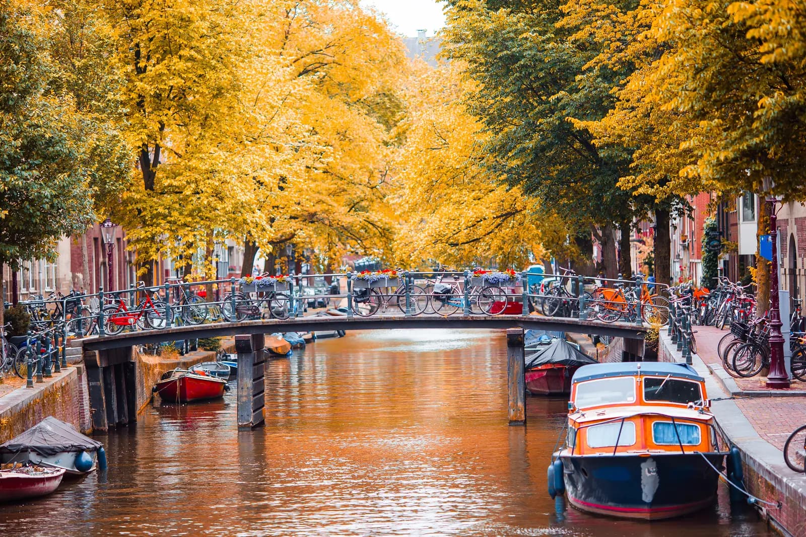 Amsterdam kanalları sonbaharda