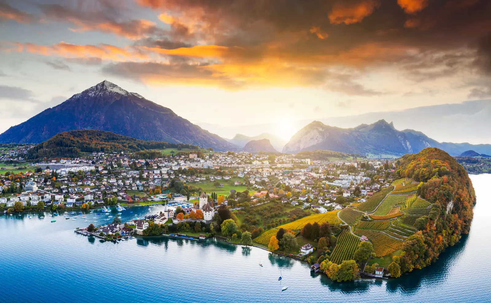 Spiez Kalesi ve üzüm bağları, Bern Alpleri